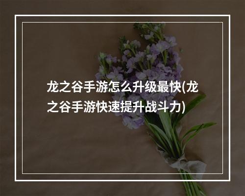 龙之谷手游怎么升级最快(龙之谷手游快速提升战斗力)