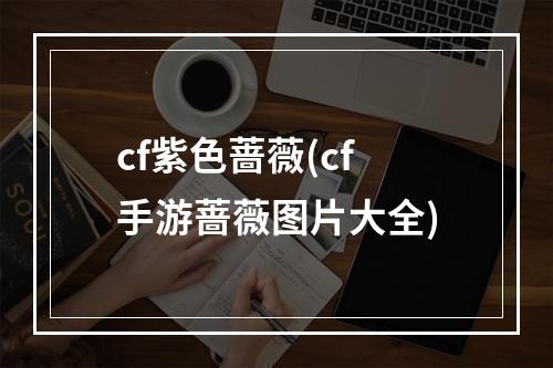 cf紫色蔷薇(cf手游蔷薇图片大全)