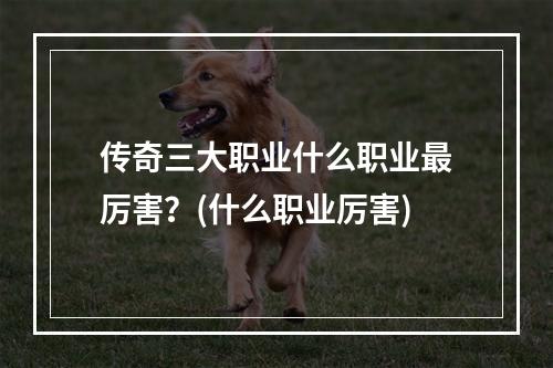 传奇三大职业什么职业最厉害？(什么职业厉害)