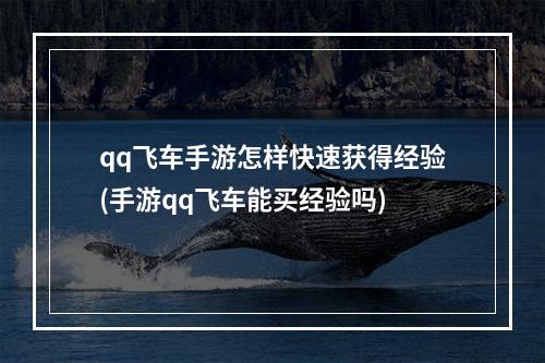 qq飞车手游怎样快速获得经验(手游qq飞车能买经验吗)