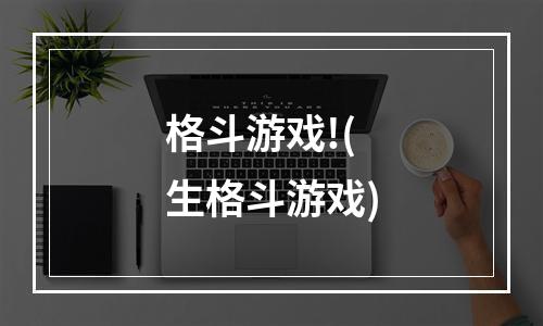 格斗游戏!(生格斗游戏)