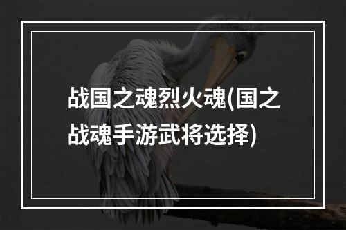 战国之魂烈火魂(国之战魂手游武将选择)