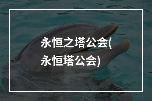 永恒之塔公会(永恒塔公会)