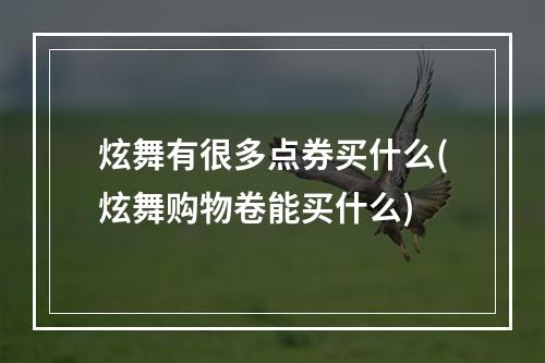 炫舞有很多点券买什么(炫舞购物卷能买什么)