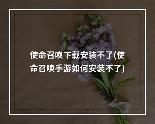 使命召唤下载安装不了(使命召唤手游如何安装不了)