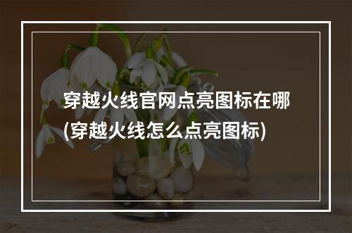 穿越火线官网点亮图标在哪(穿越火线怎么点亮图标)