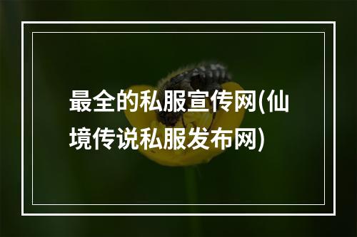 最全的私服宣传网(仙境传说私服发布网)