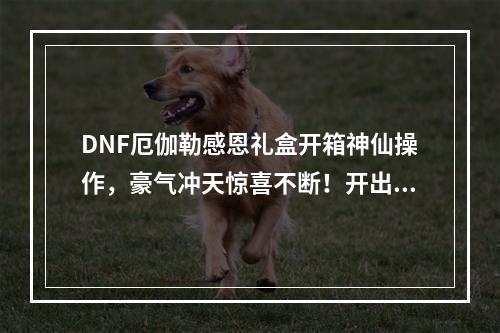 DNF厄伽勒感恩礼盒开箱神仙操作，豪气冲天惊喜不断！开出了哪些大奖？(一定要看！)