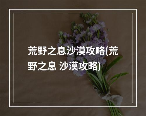 荒野之息沙漠攻略(荒野之息 沙漠攻略)