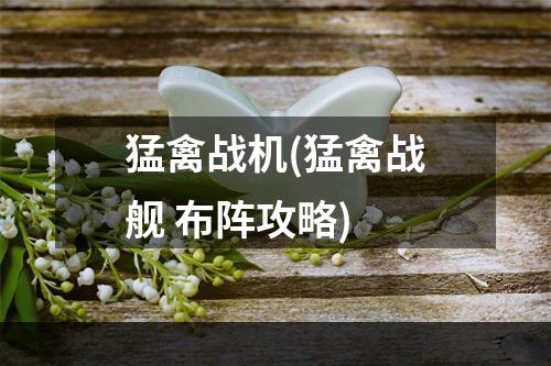 猛禽战机(猛禽战舰 布阵攻略)