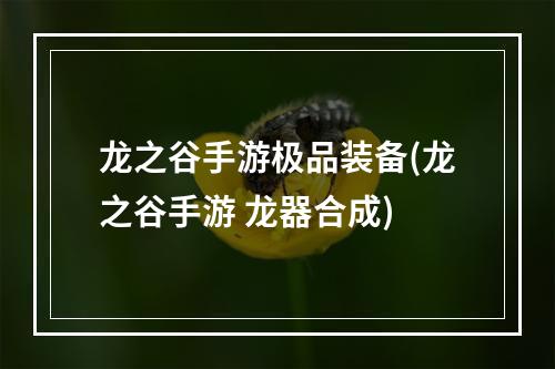 龙之谷手游极品装备(龙之谷手游 龙器合成)