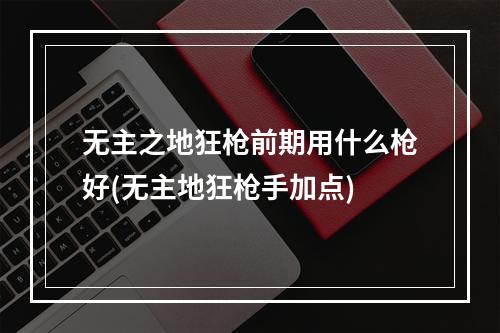 无主之地狂枪前期用什么枪好(无主地狂枪手加点)