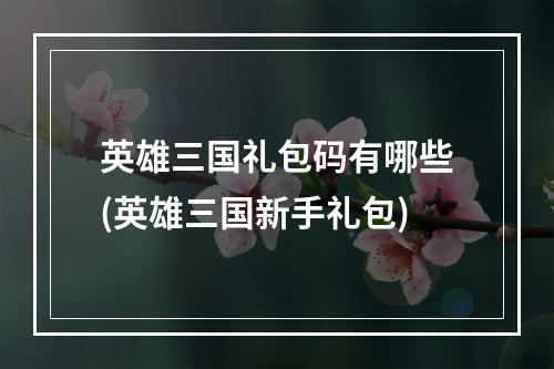 英雄三国礼包码有哪些(英雄三国新手礼包)