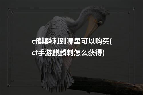 cf麒麟刺到哪里可以购买(cf手游麒麟刺怎么获得)