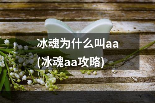 冰魂为什么叫aa(冰魂aa攻略)