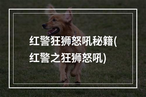 红警狂狮怒吼秘籍(红警之狂狮怒吼)