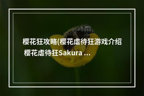 樱花狂攻略(樱花虐待狂游戏介绍 樱花虐待狂Sakura Sadist游戏好玩)