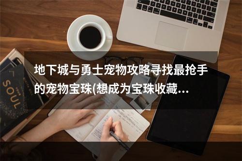 地下城与勇士宠物攻略寻找最抢手的宠物宝珠(想成为宝珠收藏家？必看！)