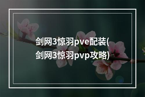 剑网3惊羽pve配装(剑网3惊羽pvp攻略)