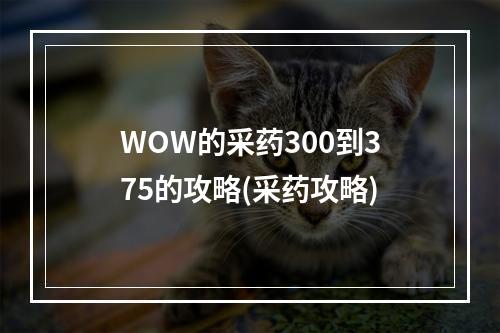 WOW的采药300到375的攻略(采药攻略)