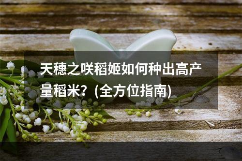 天穗之咲稻姬如何种出高产量稻米？(全方位指南)