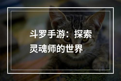 斗罗手游：探索灵魂师的世界