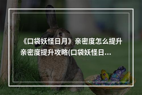 《口袋妖怪日月》亲密度怎么提升亲密度提升攻略(口袋妖怪日月攻略)