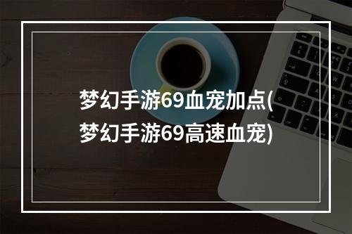 梦幻手游69血宠加点(梦幻手游69高速血宠)