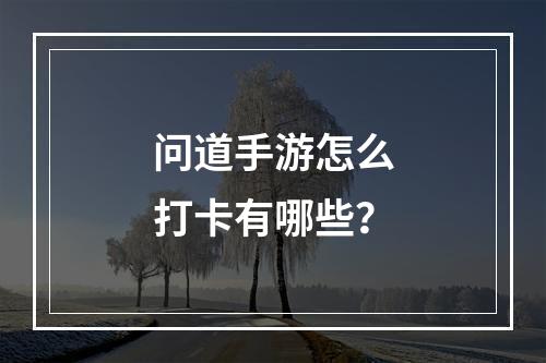 问道手游怎么打卡有哪些？