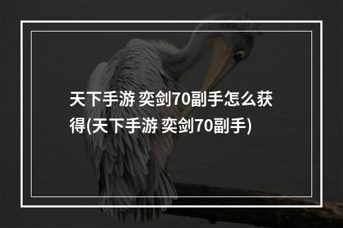 天下手游 奕剑70副手怎么获得(天下手游 奕剑70副手)