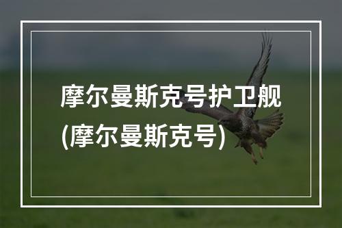 摩尔曼斯克号护卫舰(摩尔曼斯克号)