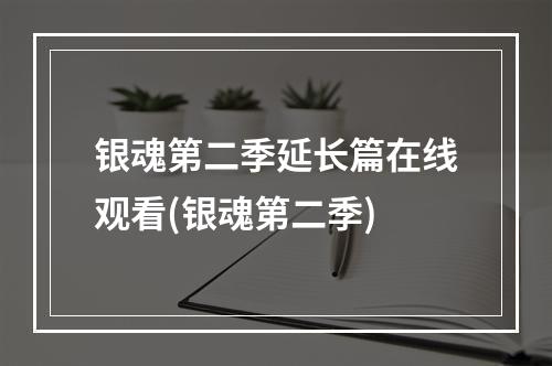 银魂第二季延长篇在线观看(银魂第二季)