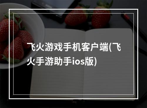 飞火游戏手机客户端(飞火手游助手ios版)