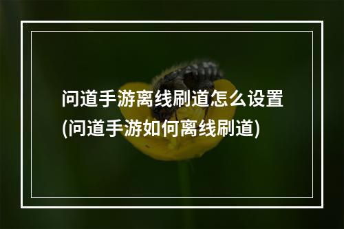 问道手游离线刷道怎么设置(问道手游如何离线刷道)