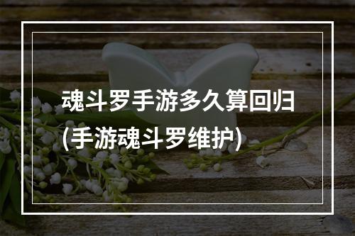 魂斗罗手游多久算回归(手游魂斗罗维护)