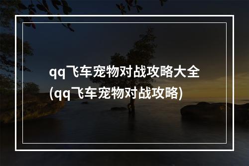 qq飞车宠物对战攻略大全(qq飞车宠物对战攻略)