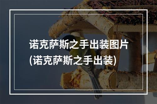 诺克萨斯之手出装图片(诺克萨斯之手出装)