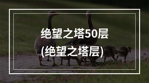 绝望之塔50层(绝望之塔层)