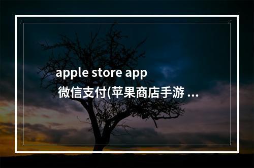 apple store app 微信支付(苹果商店手游 微信支付)