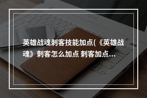 英雄战魂刺客技能加点(《英雄战魂》刺客怎么加点 刺客加点攻略 )