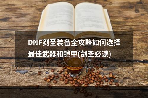 DNF剑圣装备全攻略如何选择最佳武器和铠甲(剑圣必读)