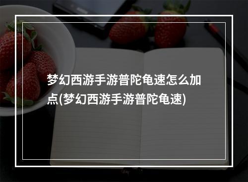 梦幻西游手游普陀龟速怎么加点(梦幻西游手游普陀龟速)