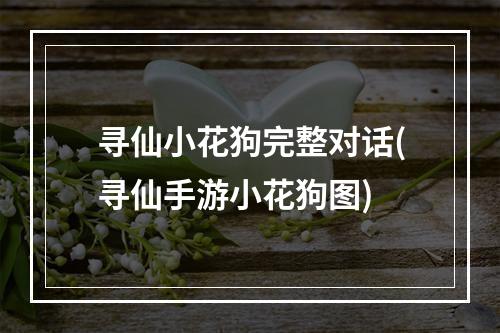 寻仙小花狗完整对话(寻仙手游小花狗图)