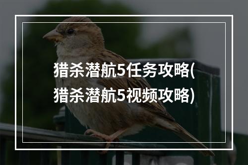 猎杀潜航5任务攻略(猎杀潜航5视频攻略)