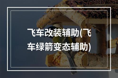 飞车改装辅助(飞车绿箭变态辅助)