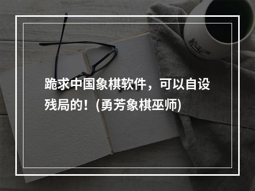 跪求中国象棋软件，可以自设残局的！(勇芳象棋巫师)