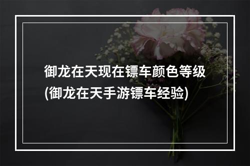 御龙在天现在镖车颜色等级(御龙在天手游镖车经验)