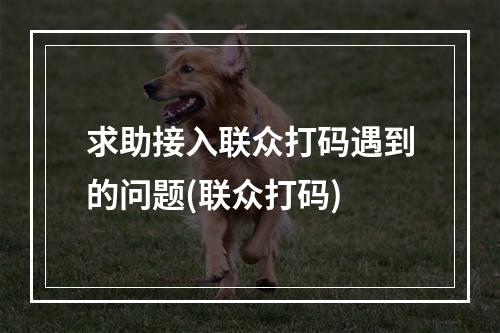 求助接入联众打码遇到的问题(联众打码)