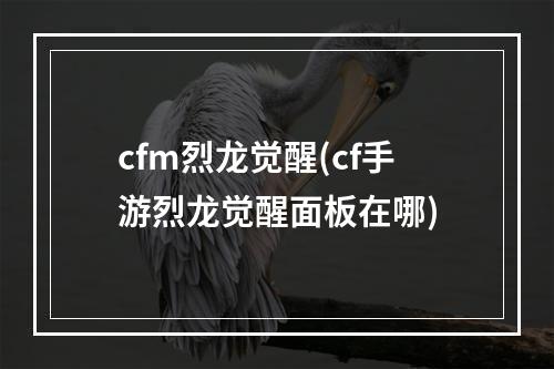 cfm烈龙觉醒(cf手游烈龙觉醒面板在哪)