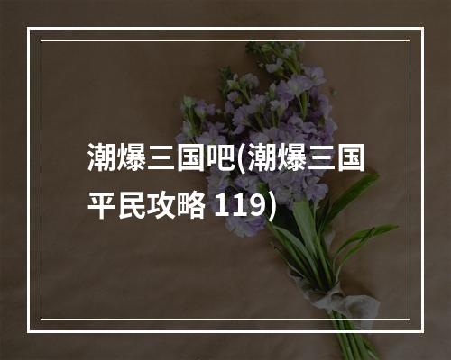 潮爆三国吧(潮爆三国平民攻略 119)